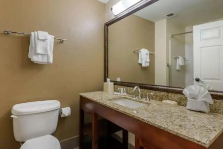 Comfort Suites Lady Lake - The Villages - 56