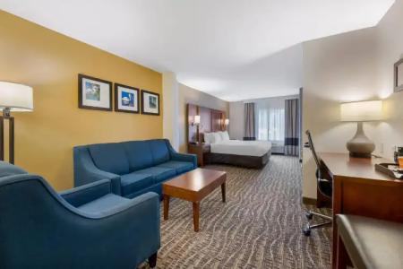 Comfort Suites Lady Lake - The Villages - 48