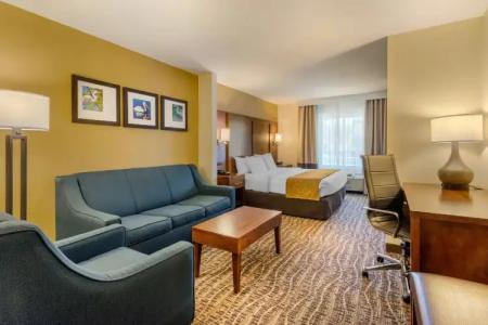 Comfort Suites Lady Lake - The Villages - 55