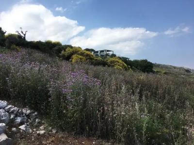 Le Capase Resort - 24