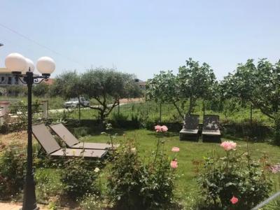 Megali Beach Nikos - 9