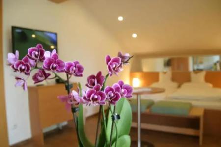 Hotel-Restaurant Bellevue - 36