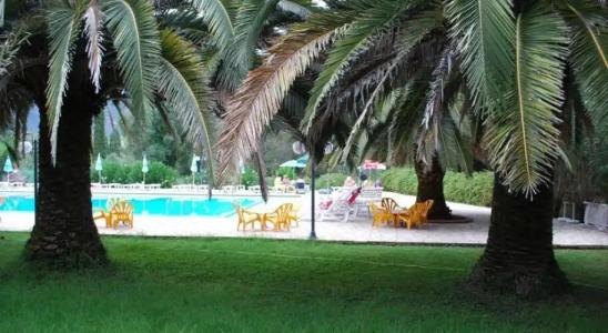 Margarita Apartments - 0