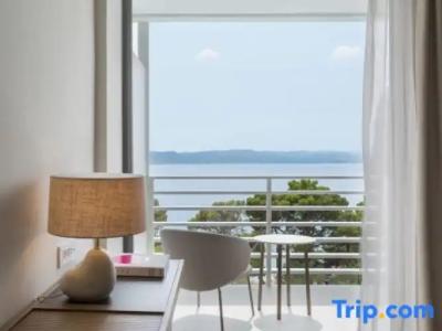 Bluesun Maestral - 36