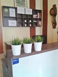 Pansion Epetium - 44