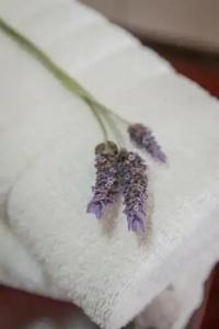 Kefalonia Bay Palace - 127