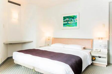 Shin Furano Prince - 2