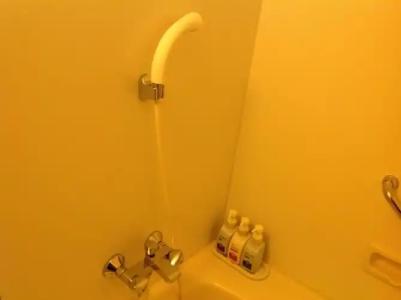 Shin Furano Prince - 33