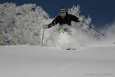 The Green Leaf Niseko Village, Tapestry Collection by Hilton - 17