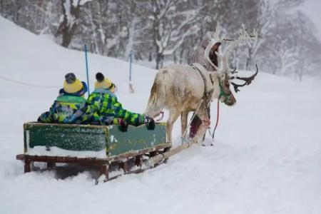 The Green Leaf Niseko Village, Tapestry Collection by Hilton - 15