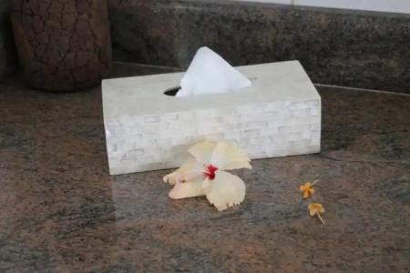 Chateau St Cloud - 113