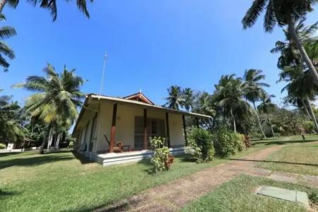 Tamarind Tree Garden Resort - Katunayake - 11