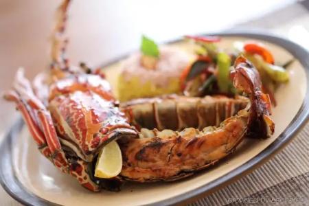 Jetwing Lagoon Wellness, A Luxury Reserve - Adults Only - 9