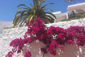 El Capistrano Sur, Nerja