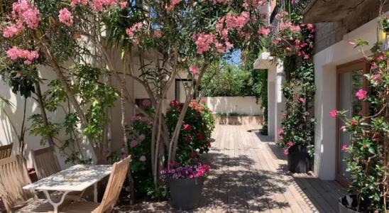 Htel Le Mistral - 14