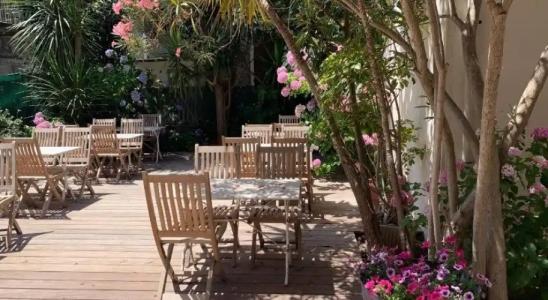 Htel Le Mistral - 15