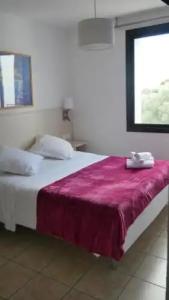 Corsica Hostel Porto Vecchio - 13