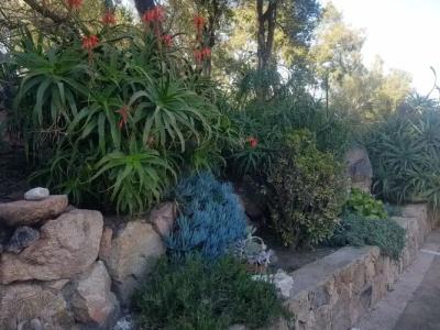 Corsica Hostel Porto Vecchio - 9