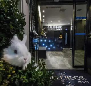 Splendor Elysees - 0