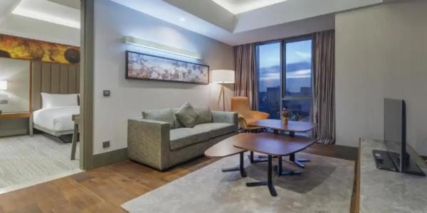 Hilton Garden Inn Istanbul Airport - 130