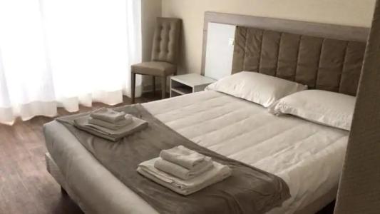 Hôtel Le Dauphin - 44