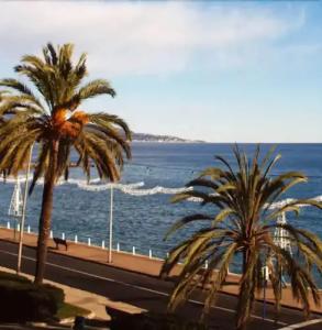 Hôtel Le Dauphin - 18