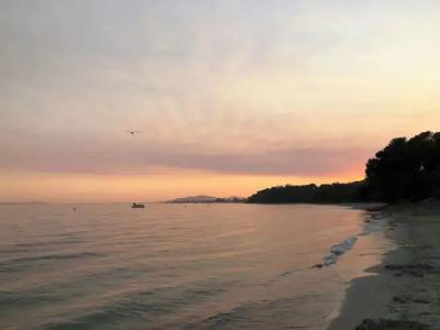 Hôtel le Rabelais - 16