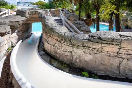 Deltas Orlando Celebration - 18