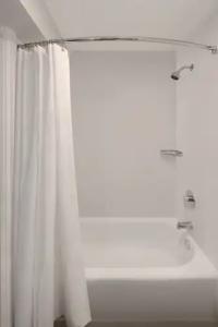 Deltas Orlando Celebration - 14