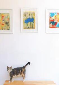 Menekse Pansiyon - 13