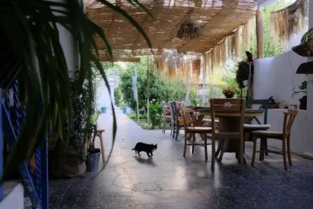 Menekse Pansiyon - 16