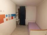Standard Double room with garden view