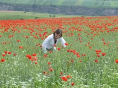 Ruzanna's Bed & Breakfast - 13