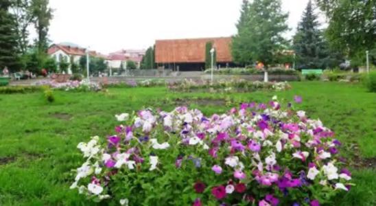 Ruzanna's Bed & Breakfast - 8