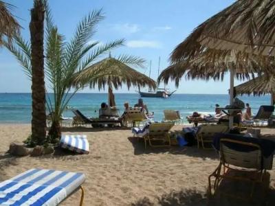 Holiday Service College & Diving - 12