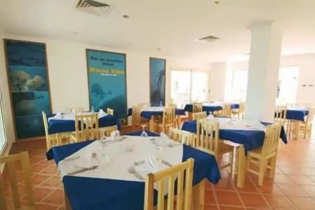 Holiday Service College & Diving - 18