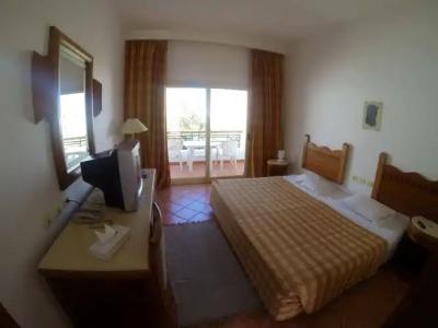 Holiday Service College & Diving - 3