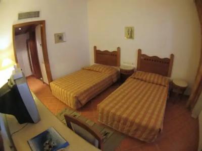 Holiday Service College & Diving - 4