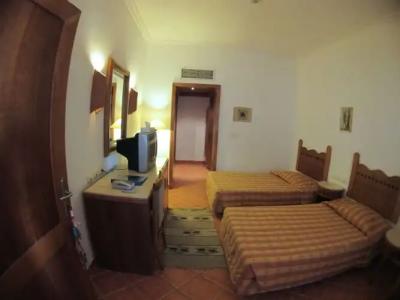 Holiday Service College & Diving - 21