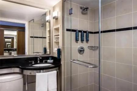 New York Hilton Midtown - 20