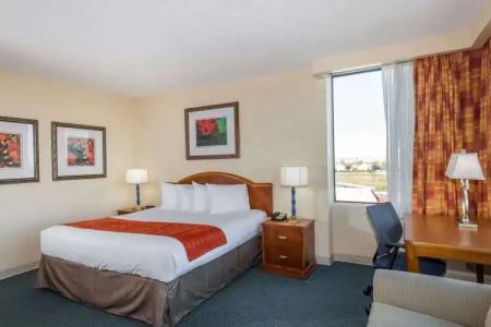 Ramada by Wyndham Kissimmee Gateway - 4