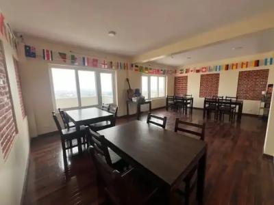 The Sparkling Turtle Backpackers Hostel - 9