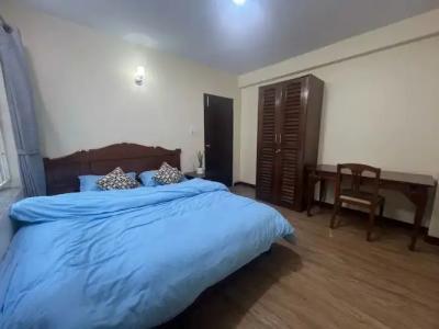 The Sparkling Turtle Backpackers Hostel - 21