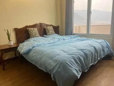 The Sparkling Turtle Backpackers Hostel - 24