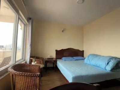 The Sparkling Turtle Backpackers Hostel - 25