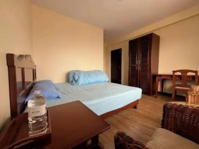 The Sparkling Turtle Backpackers Hostel - 4