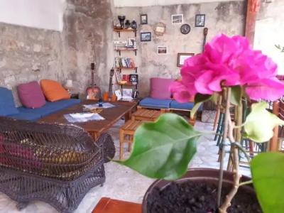 Freedom Hostel Budva - 5