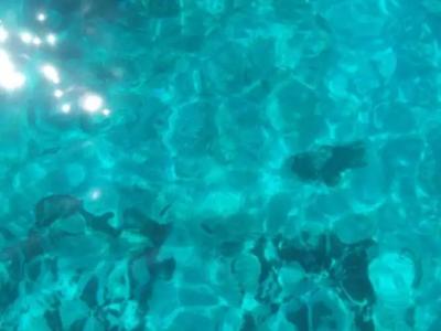 - Vista Egadi - - 45