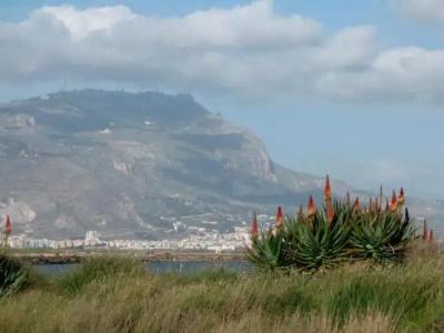 - Vista Egadi - - 41