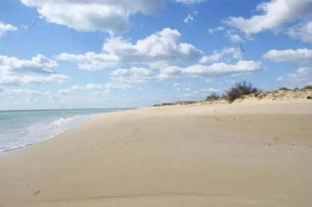 B&B Erminia - Free Parking e Mare Vicino - 50